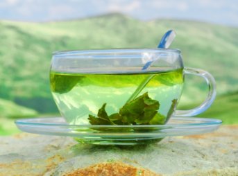 緑茶のテアニン含有量をまとめて紹介。期待効果や副作用情報も調べてみました。