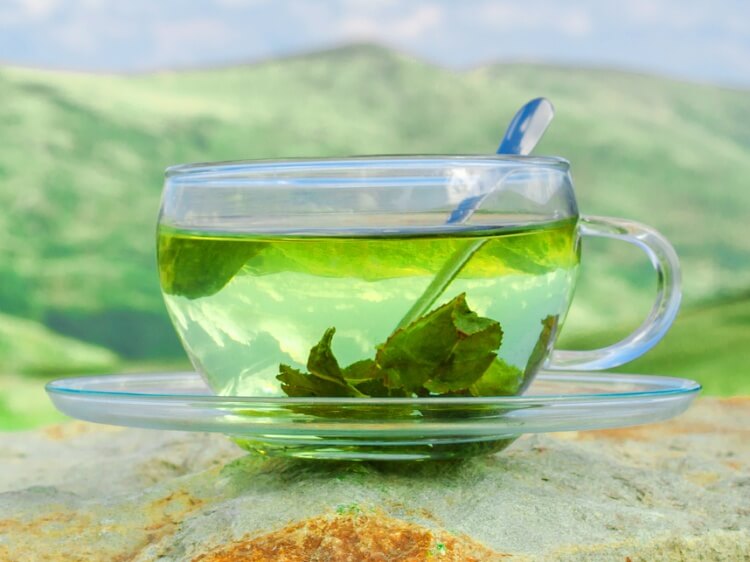 緑茶のテアニン含有量をまとめて紹介。期待効果や副作用情報も調べてみました。