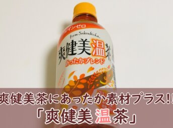 あったかブレンド【爽健美温茶】飲んでみた！ホットな味わいであったまる！
