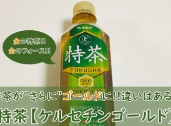 特茶【ケルセチンゴールド】の違いとは？期待効果や味の変化を調べてみた！【トクホ】