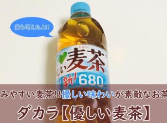 ダカラ【やさしい麦茶】飲んでみた！薄い味？口コミ（まずい？おいしい？）も紹介！