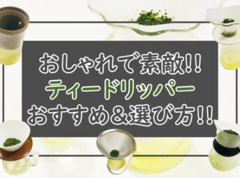 ティードリッパーおすすめ5選！おしゃれな茶器でお茶をドリップ！