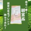 滋賀の超有名ブレンド【朝宮茶】飲んでみた！日本五大銘茶を味わおう！
