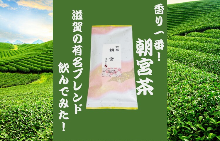 滋賀の超有名ブレンド【朝宮茶】飲んでみた！日本五大銘茶を味わおう！